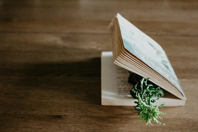 Warum allgemeine Bildung die Basis ist