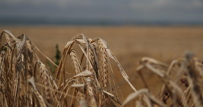 Winterkleidung richtig pflegen: So bleibt sie länger schön und haltbar